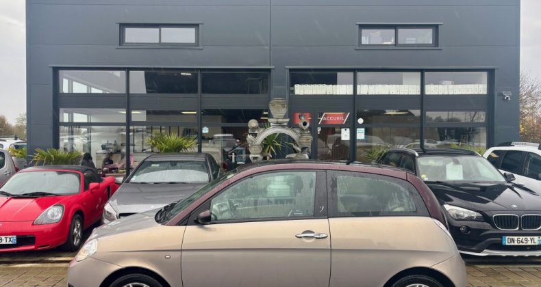 Lancia Ypsilon 1.3 MULTIJET PLATINO 16V 75 ELEFANTINO