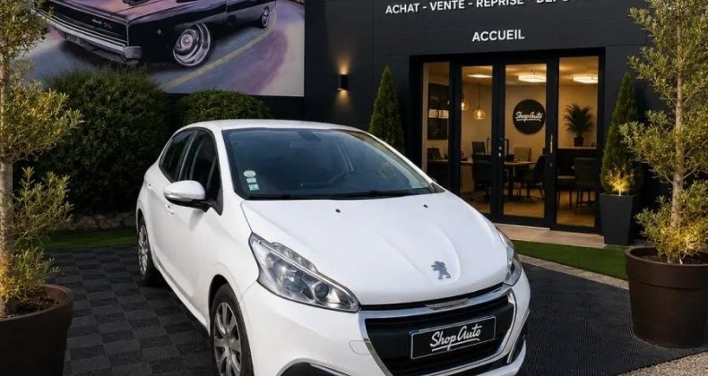 Peugeot 208 GENERATION-I 1.6 BLUEHDI 75 ACTIVE BUSIN