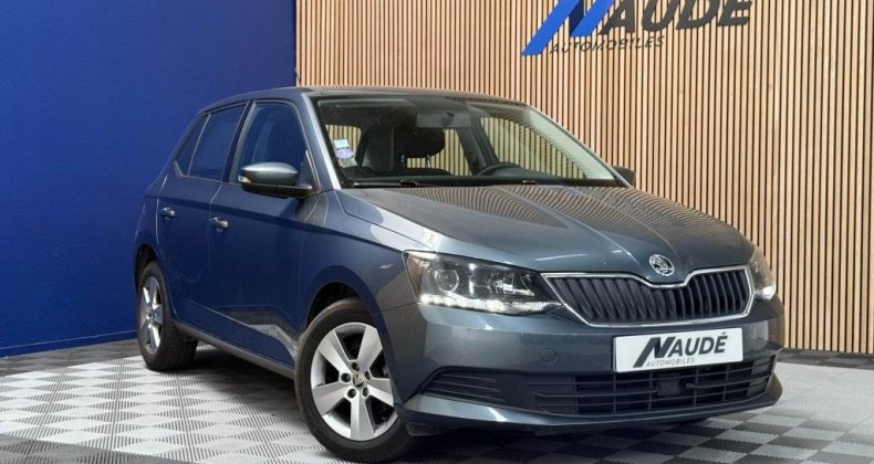 Skoda Fabia 1.0 TSI 95 CH BUSINESS