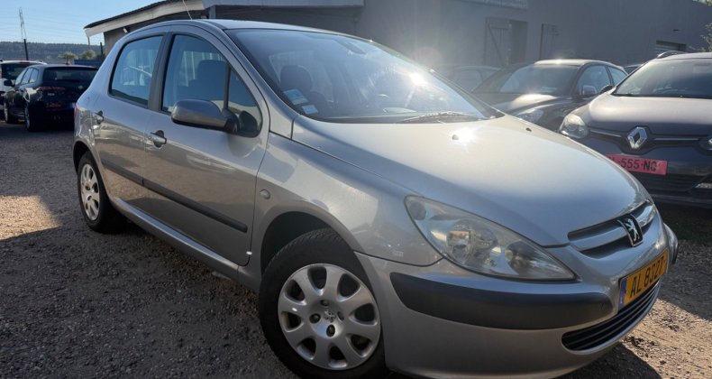 Peugeot 307 1.6 i 110 cv