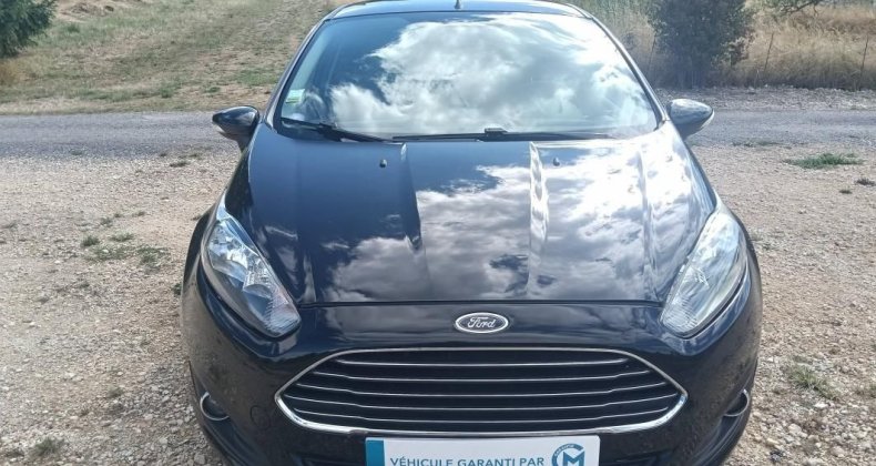 Ford Fiesta IV 1.0 EcoBoost 100ch Black S&S 5p