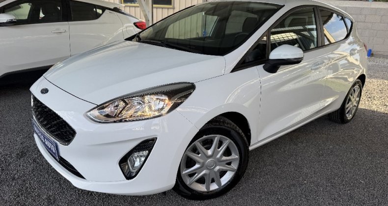 Ford Fiesta 1.5 TDCi 85 ch Trend Business
