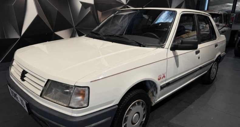 Peugeot 309 SX