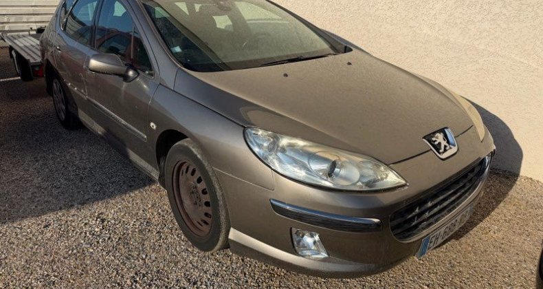 Peugeot 407 (PETIT PRIX) SW Break 2.0 Hdi 136ch roul