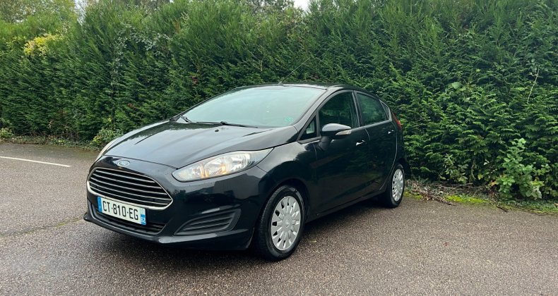 Ford Fiesta Garantie 12 mois, 1.6 TDCi 95cv FAP ECOn