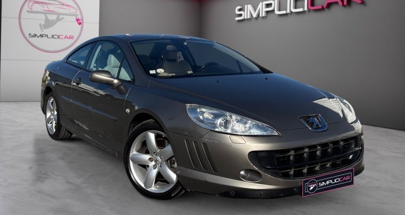 Peugeot 407 Feline